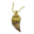 TD3-icon-clothing-Expensive Amulet PCNib2.png