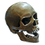 ON-icon-head-Skull.png
