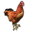 ON-icon-pet-Crusader's Coin Chicken.png