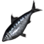 ON-icon-fish-Black Shad.png