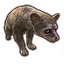 ON-icon-pet-Alinor Ringtail.png