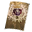 TD3-icon-armor-Imperial Templar Shield.png