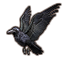 ON-icon-pet-Eyebright Raven.png