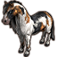 ON-icon-pet-Arenthian Skewbald Pony.png