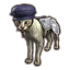 ON-icon-pet-Catwell.png