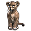 ON-icon-pet-Clouded Senche-Leopard Cub.png