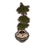 ON-icon-furnishing-Alinor Potted Plant, Triple Tiered.png