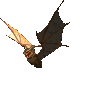 DF-creature-Bat.gif
