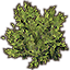 File On Icon Furnishing Bush Squat Maple Png The Unofficial Elder