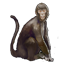 ON-icon-pet-Blackwood Monkey.png