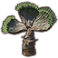 File ON Icon Furnishing Plant Desert Fan Png The Unofficial Elder