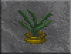 DF-icon-ingredient-Aloe.png