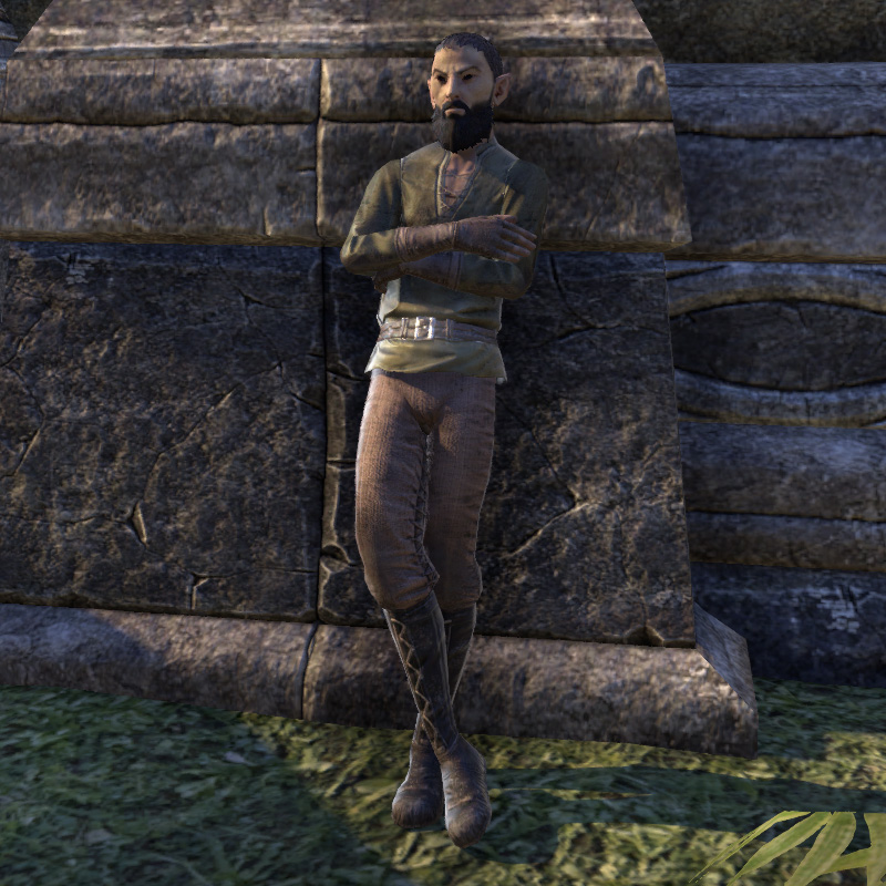 Online Hurolas Vulkhel Guard The Unofficial Elder Scrolls Pages UESP