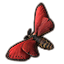 ON-icon-pet-Carmine Wood Moth.png