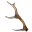 TD3-icon-misc-Antler 02.png