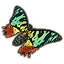 ON-icon-pet-Evermore Painter's Moth.png