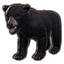 ON-icon-pet-Black Bear Cub.png