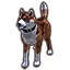 ON-icon-pet-Copperback Bear-Dog.png