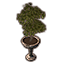 ON-icon-furnishing-Alinor Potted Plant, Double Tiered.png