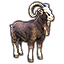 ON-icon-pet-Dragontail Goat.png