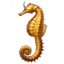 ON-icon-fish-Orange Seahorse.png