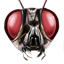 ON-icon-head-Insect.png