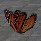 ON-furnishing-Monarch Butterfly.jpg