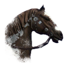 ON-icon-horse-Skewbald.png