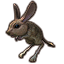 ON-icon-pet-Ashen Scar Jerboa.png