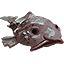 ON-icon-fish-Blobfish.png