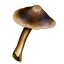 ON-icon-mushroom-Entoloma Cap 01.png