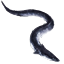 ON-icon-fish-Eel.png