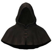 BS5C-icon-clothing-RevenantNecromancerHood.png