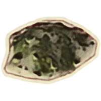 OBR-icon-ingredient-Elytra Ichor.png