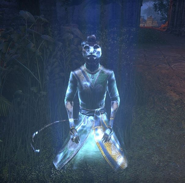 File:ON-npc-Moon-Priest Rilasu (projection).jpg