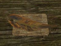 TD3-ing-Draketail Webbing.jpg