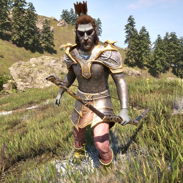 File:OBR-npc-Bandit BowmanDM.jpg