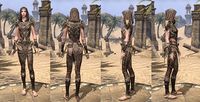 ON-item-armor-Homespun-Jerkin-Primal-Female.jpg