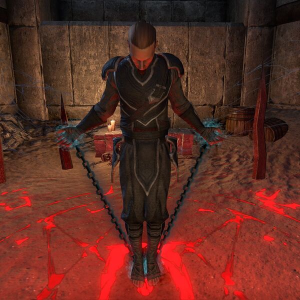 File:ON-npc-Captive (Redguard male).jpg