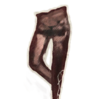 OBR-icon-clothing-Laced Leather Pants.png