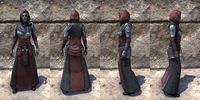ON-item-armor-Silver Rose Light Robe Female.jpg