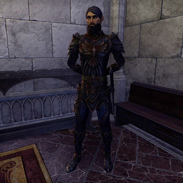 File:ON-npc-Irenyor.jpg