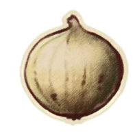 OBR-icon-ingredient-Onion.png