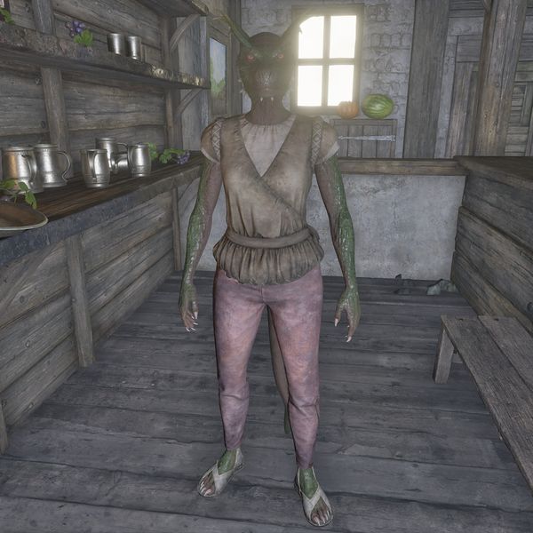 File:OBR-npc-Witseidutsei.jpg