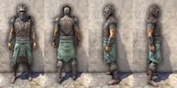 ON-item-armor-Pyandonean Medium Male.jpg