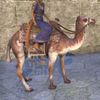 ON-mount-Dappled Elinhir Camel.jpg