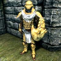 SR-item-Bonemold Guard Armor Male.jpg