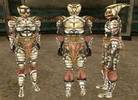 MW-item-Chitin Armor Male.jpg