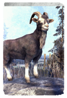 ON-card-Sanguine's Black Goat.png