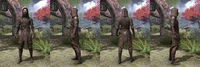 ON-item-armor-Medium-Assassins League-Male.jpg